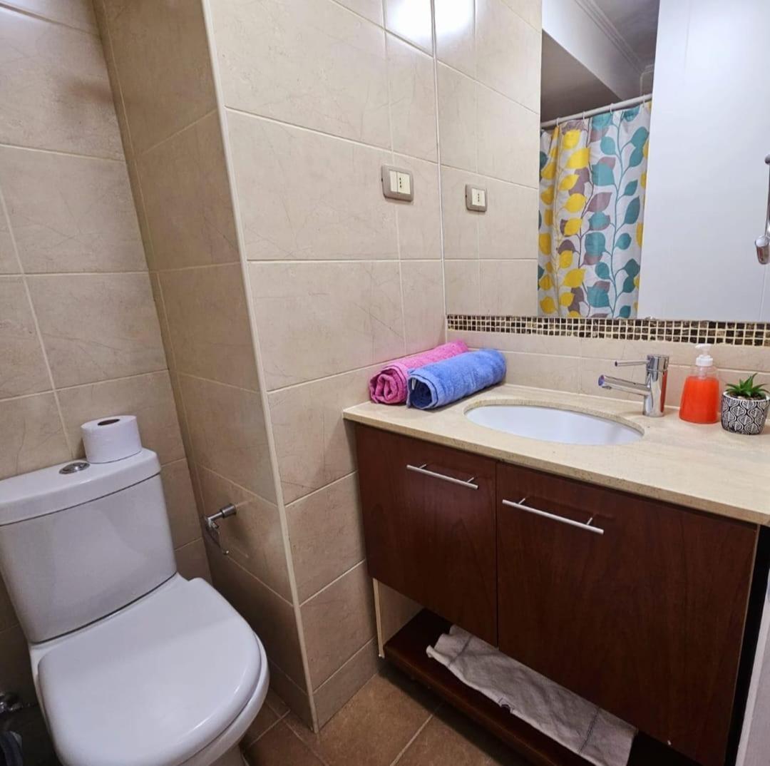 Apart Hotel Suagon Suites Santiago Centro エクステリア 写真