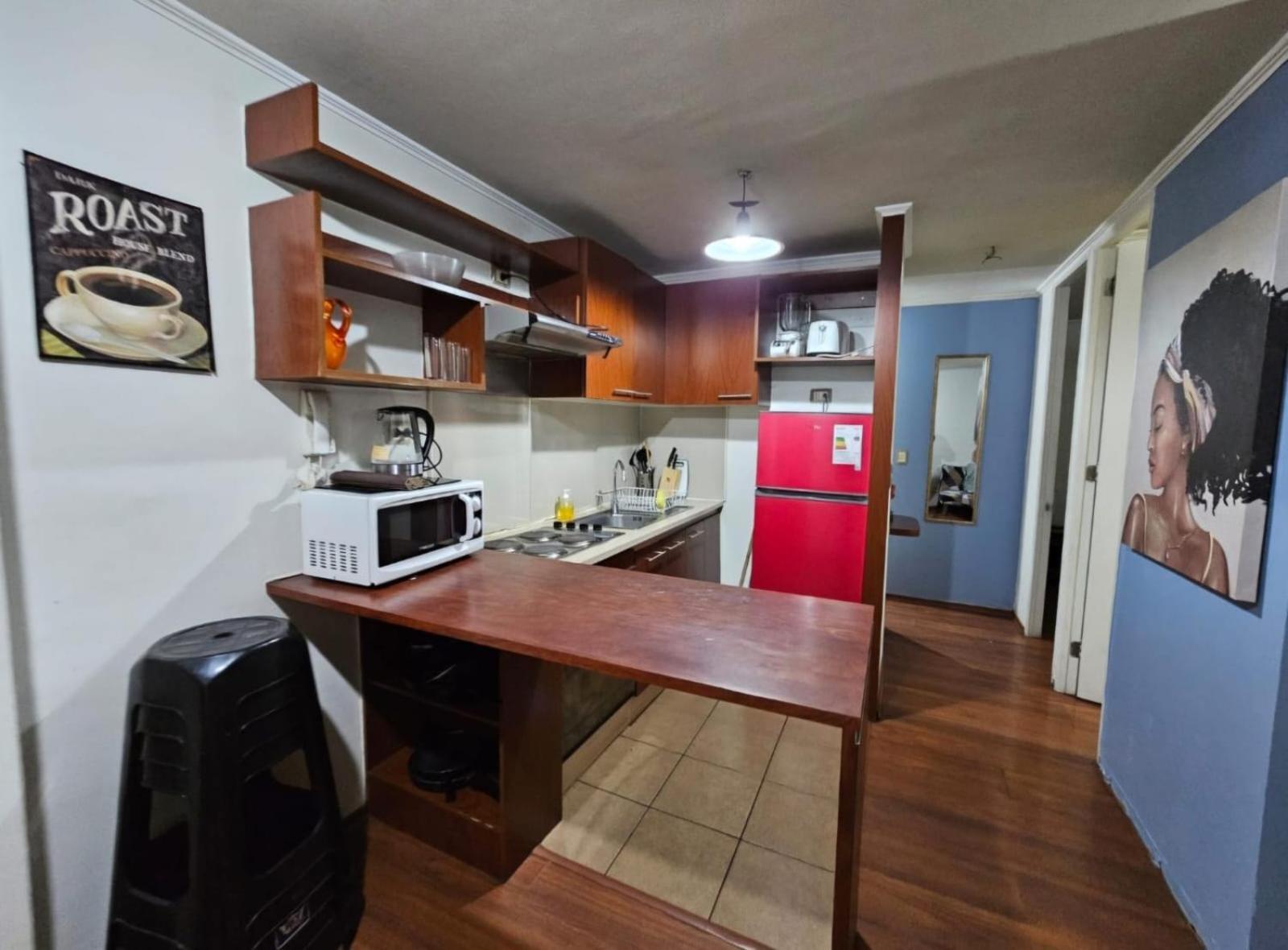 Apart Hotel Suagon Suites Santiago Centro エクステリア 写真