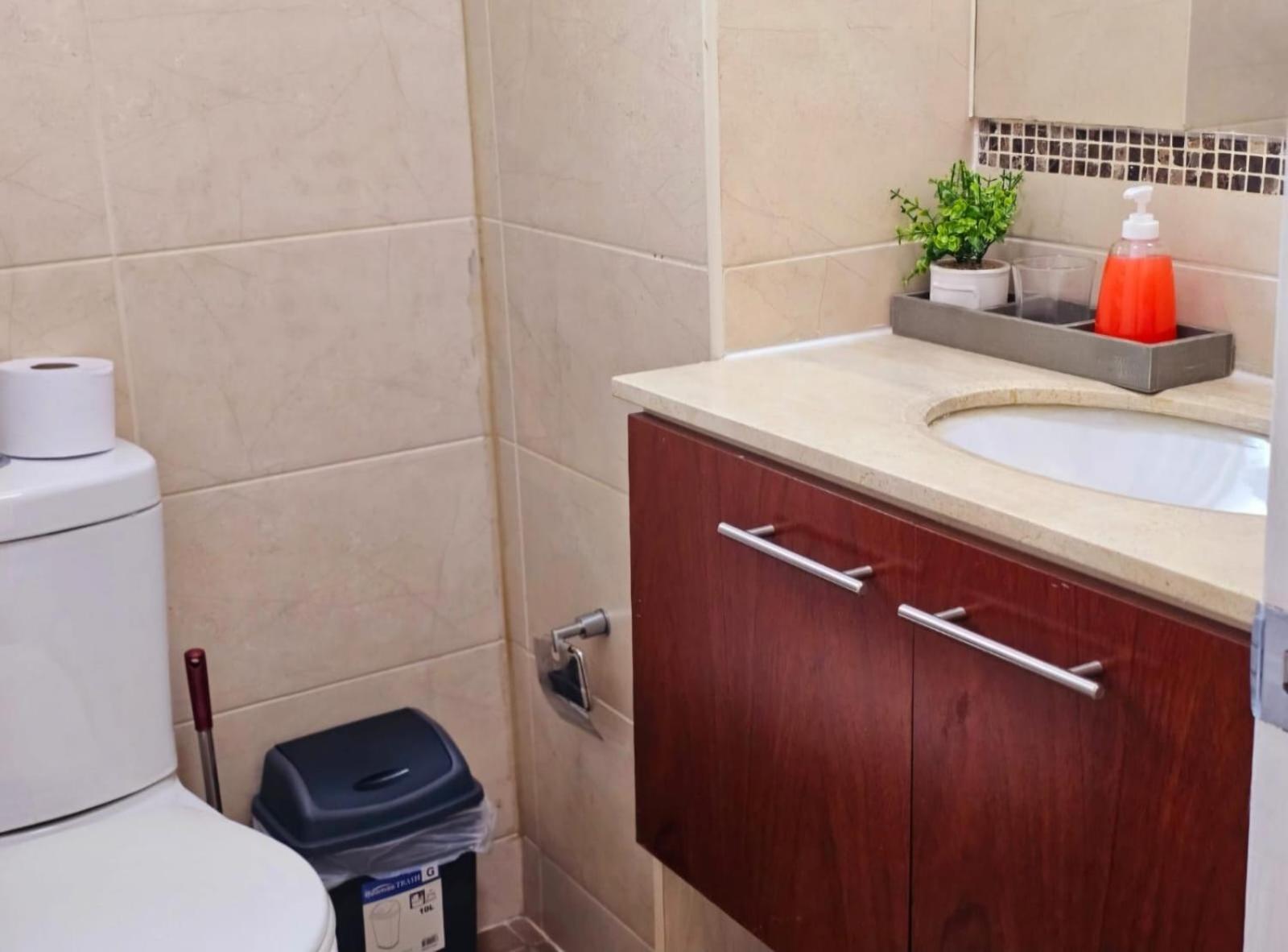 Apart Hotel Suagon Suites Santiago Centro エクステリア 写真